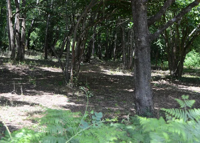 Village Orsa Minore קמפו די גי'ובה