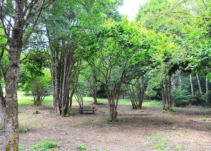 אתר קמפינג Village Orsa Minore קמפו די גי'ובה